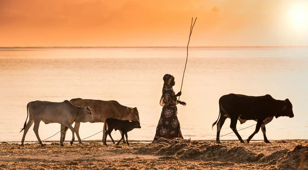 Daily life on Zanzibar's south coast